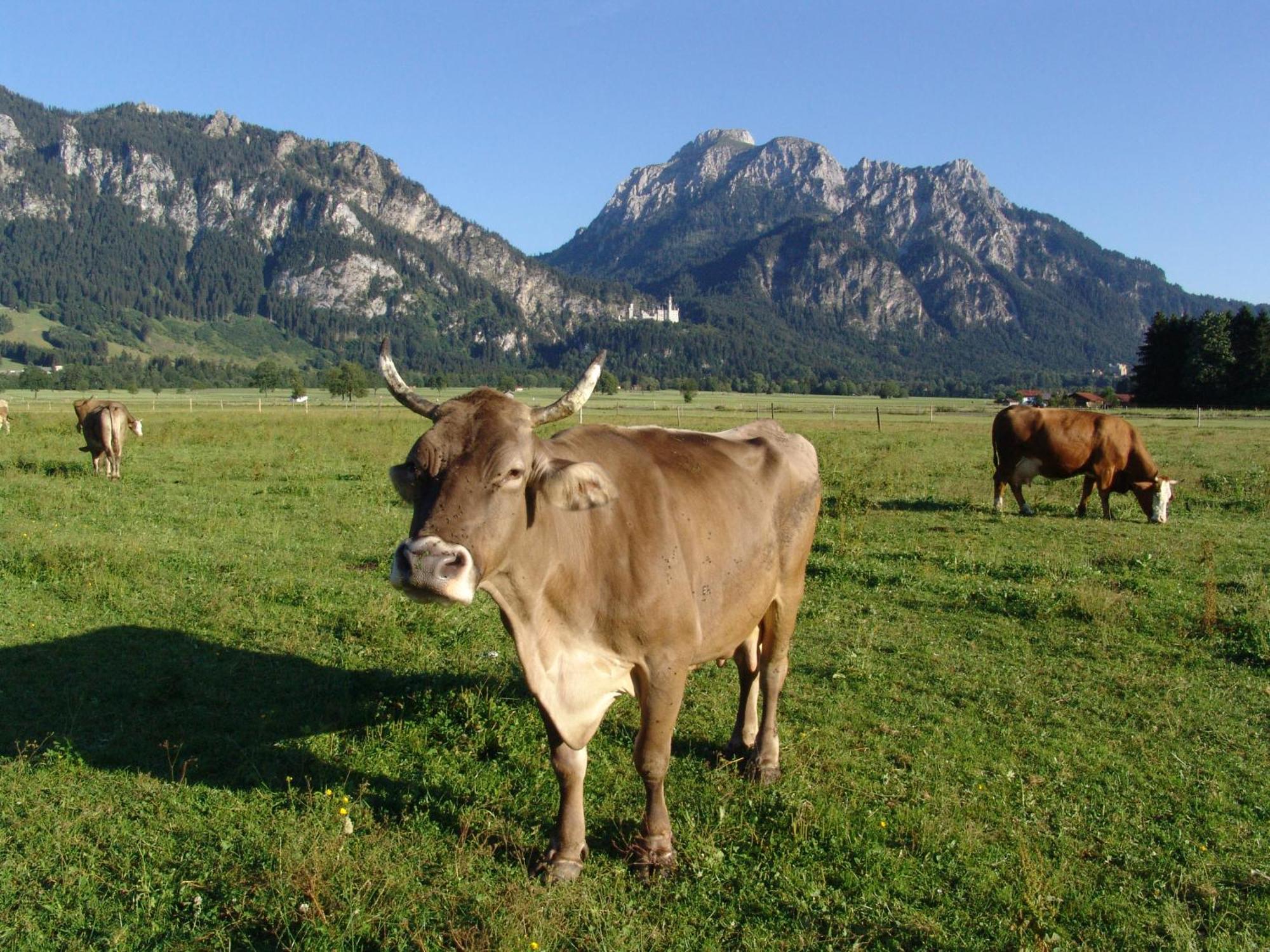 Hintere Schoene Rieden Exteriér fotografie