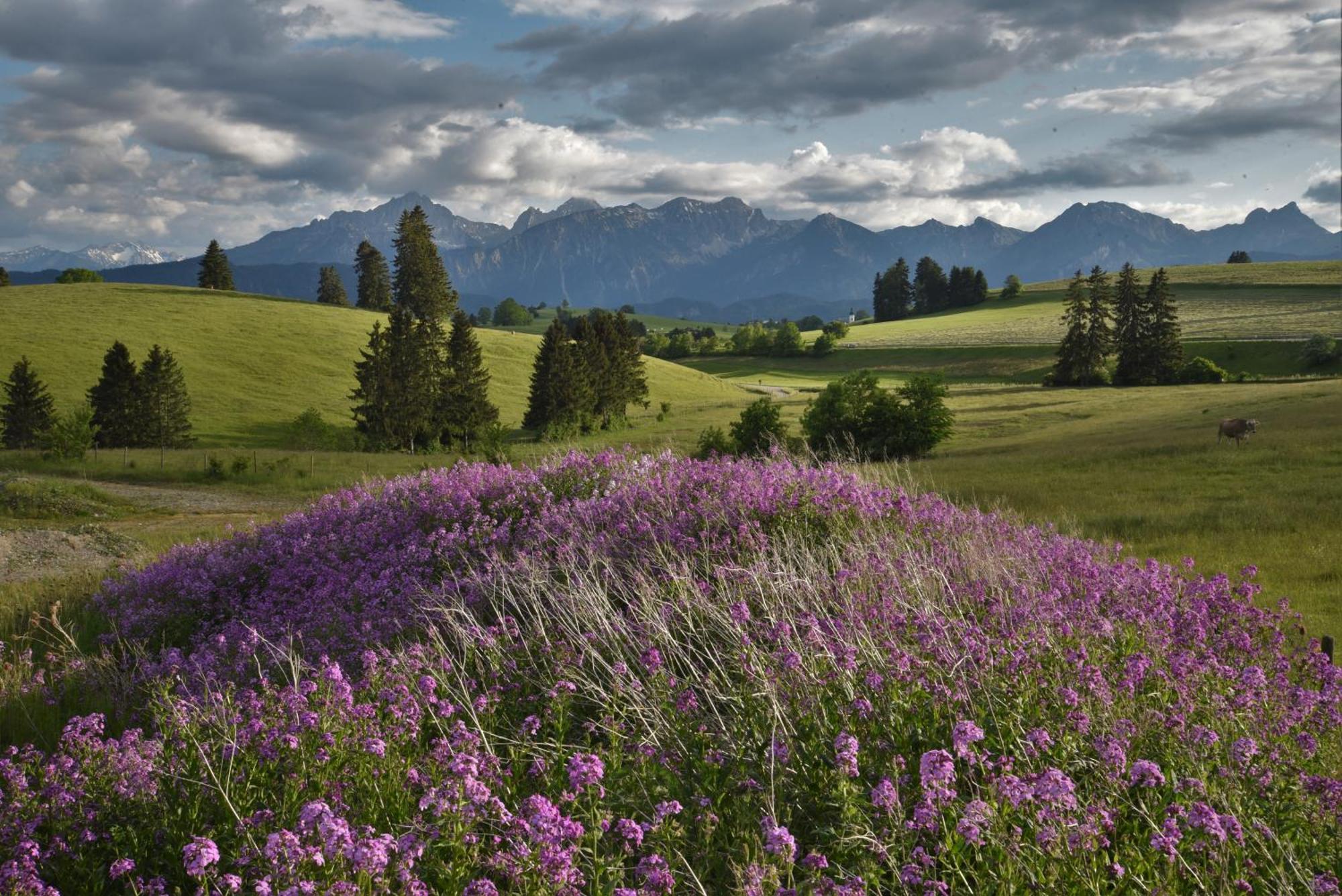 Hintere Schoene Rieden Exteriér fotografie